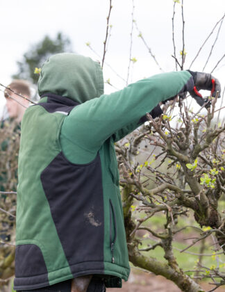 Proper Pruning